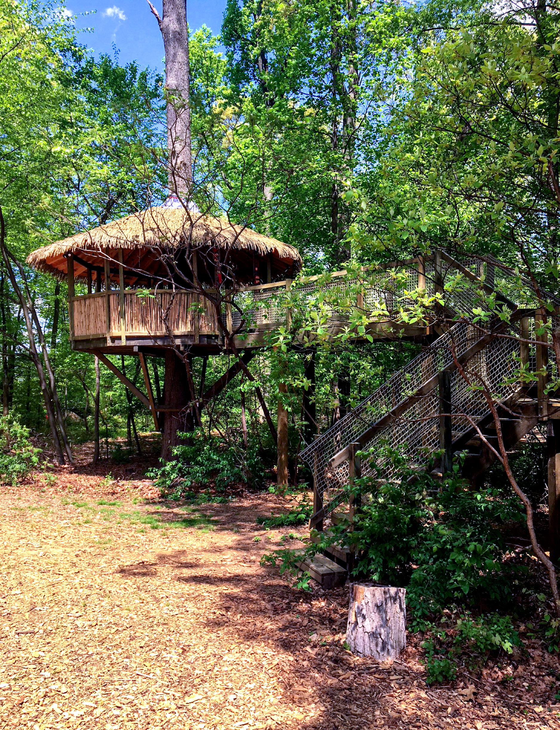 Treehouse World Adventure Park