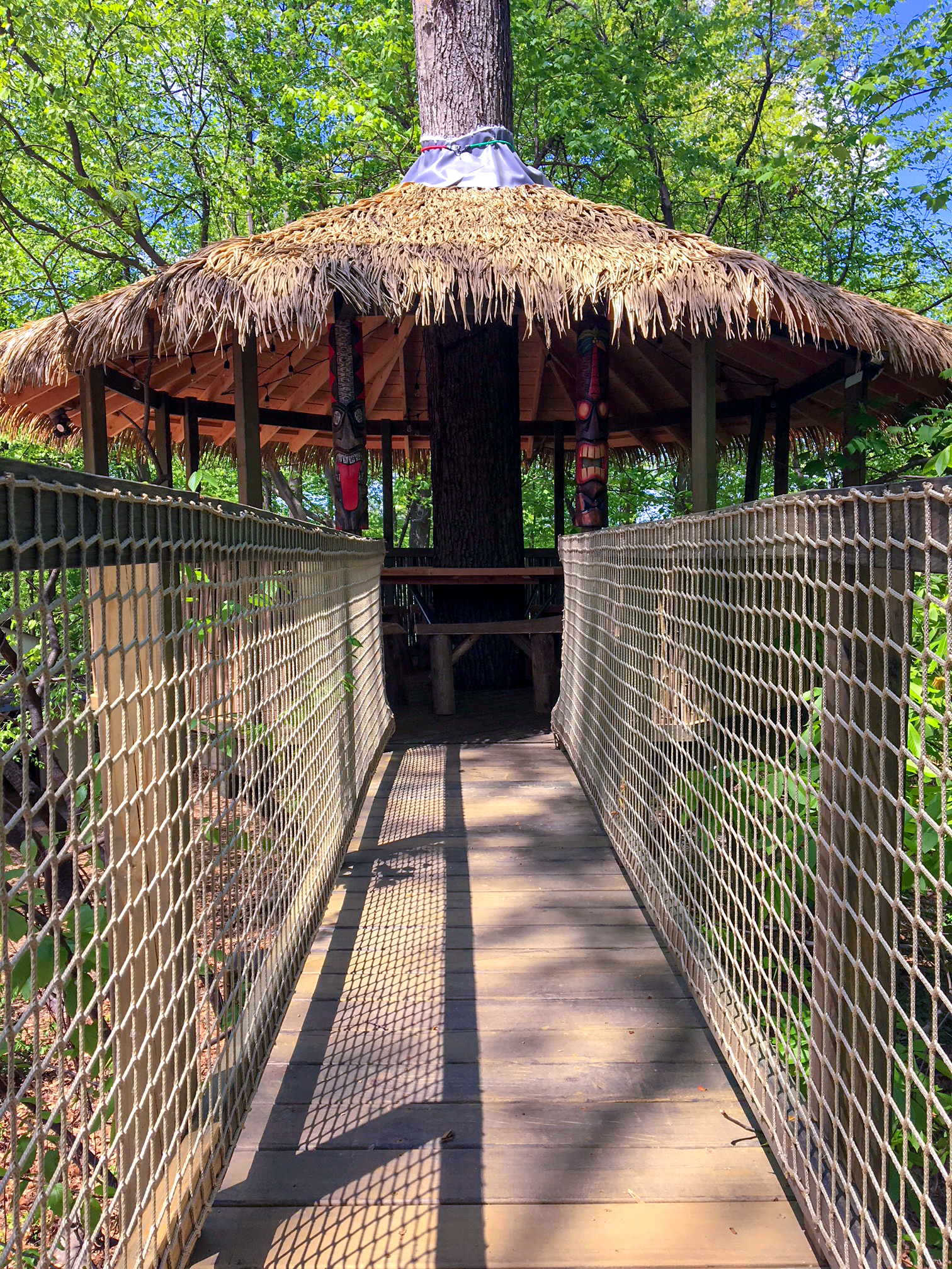 Treehouse World Adventure Park