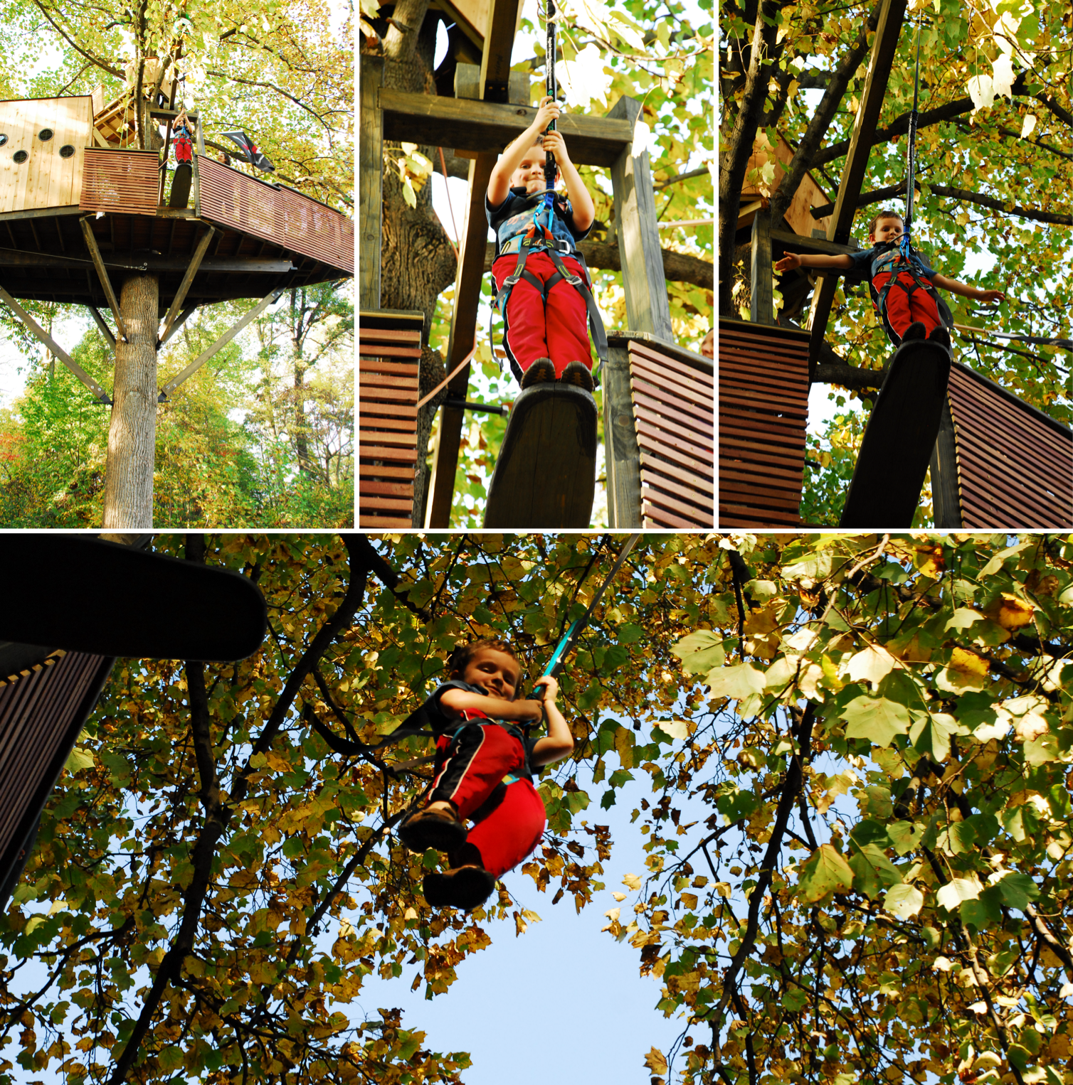 Treehouse World Adventure Park