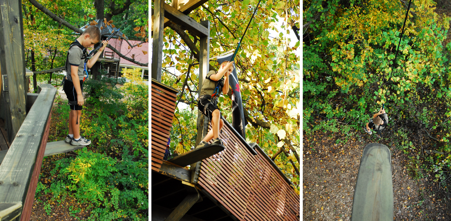 Treehouse World Adventure Park