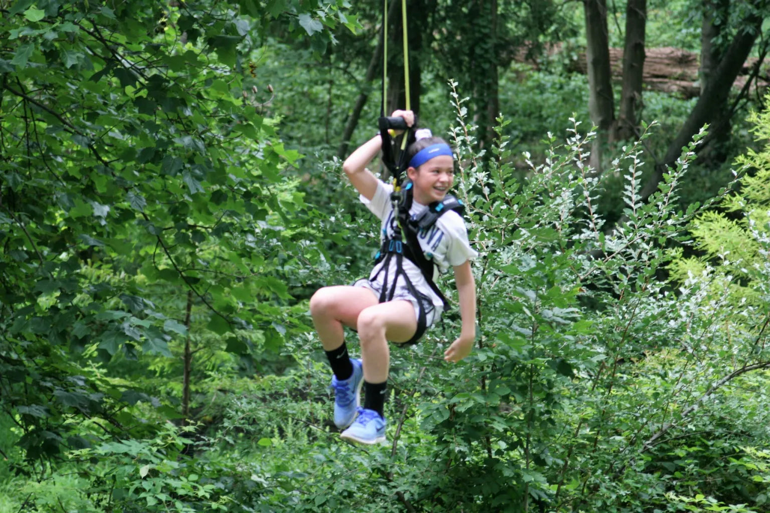 Treehouse World Adventure Park