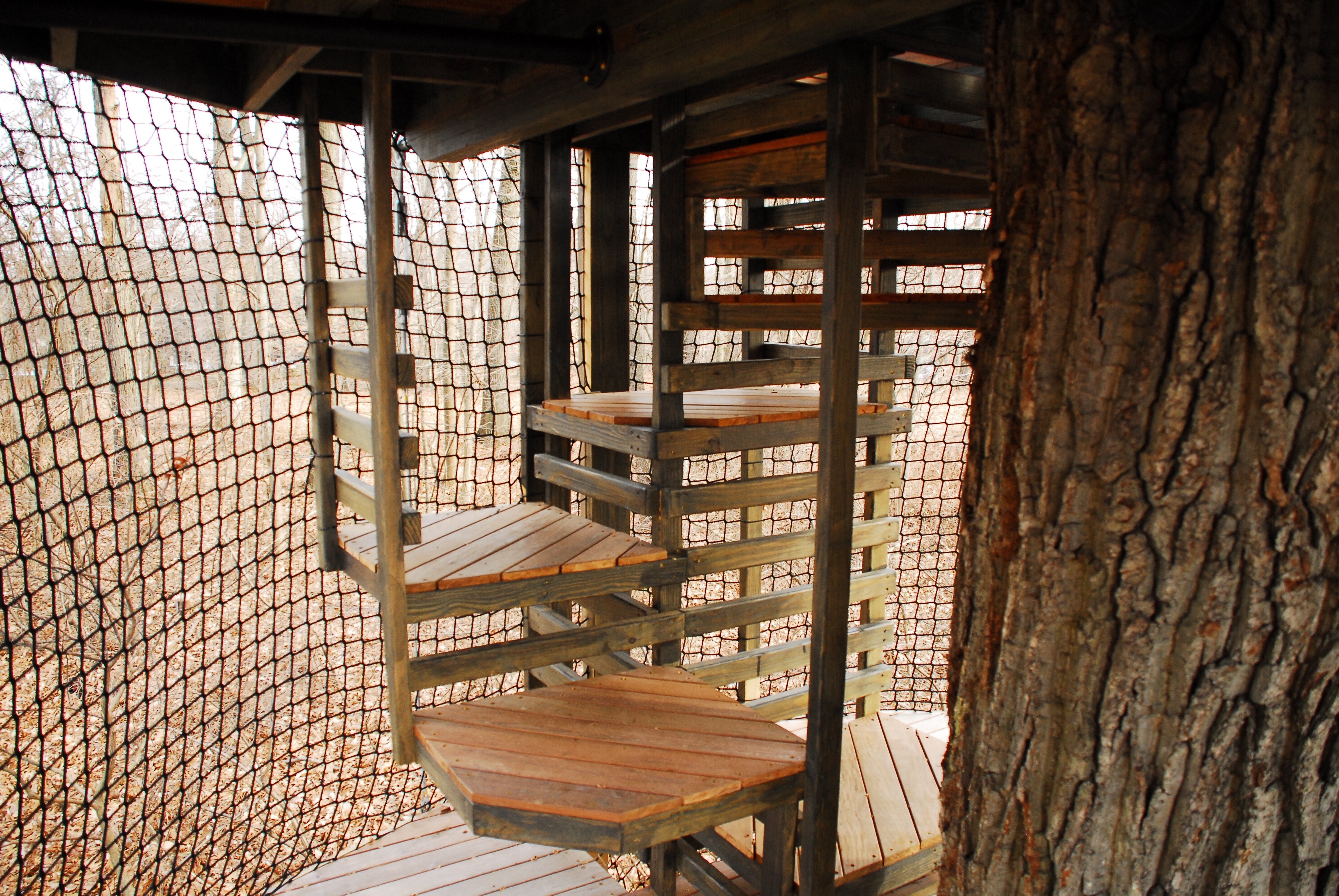 Treehouse World Adventure Park