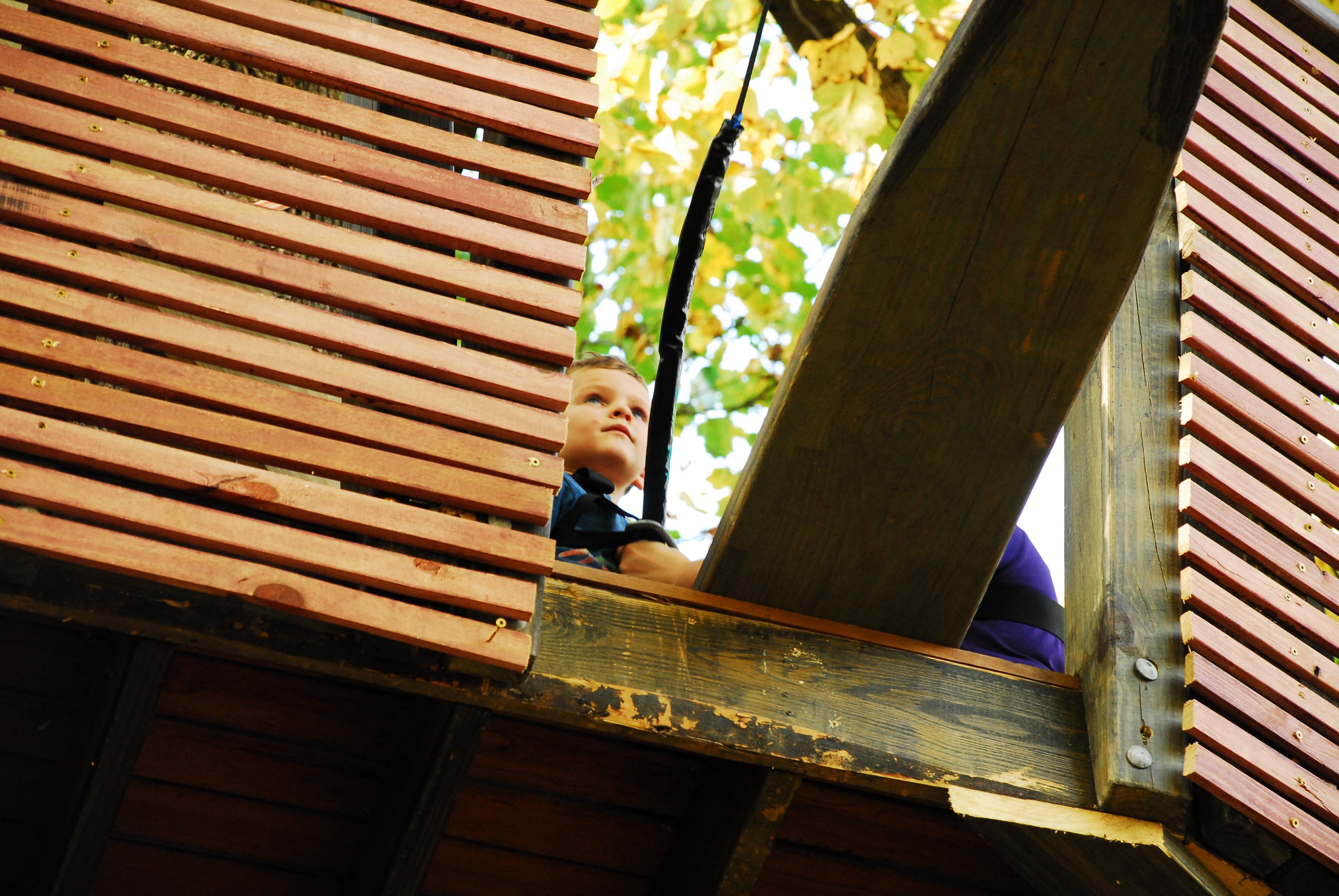 Treehouse World Adventure Park