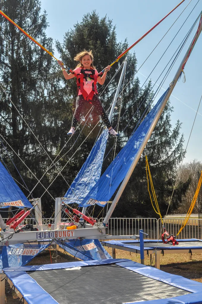 Treehouse World Adventure Park