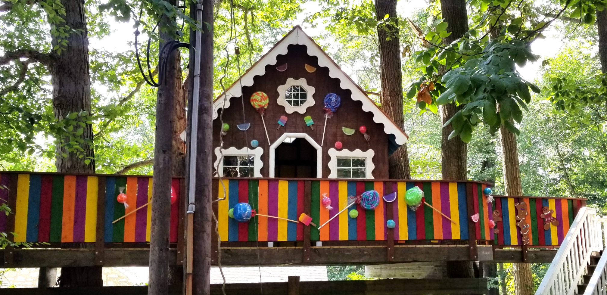 Treehouse World Adventure Park