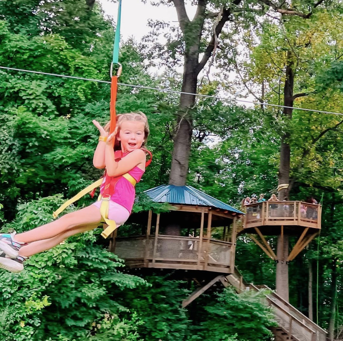 Treehouse World Adventure Park