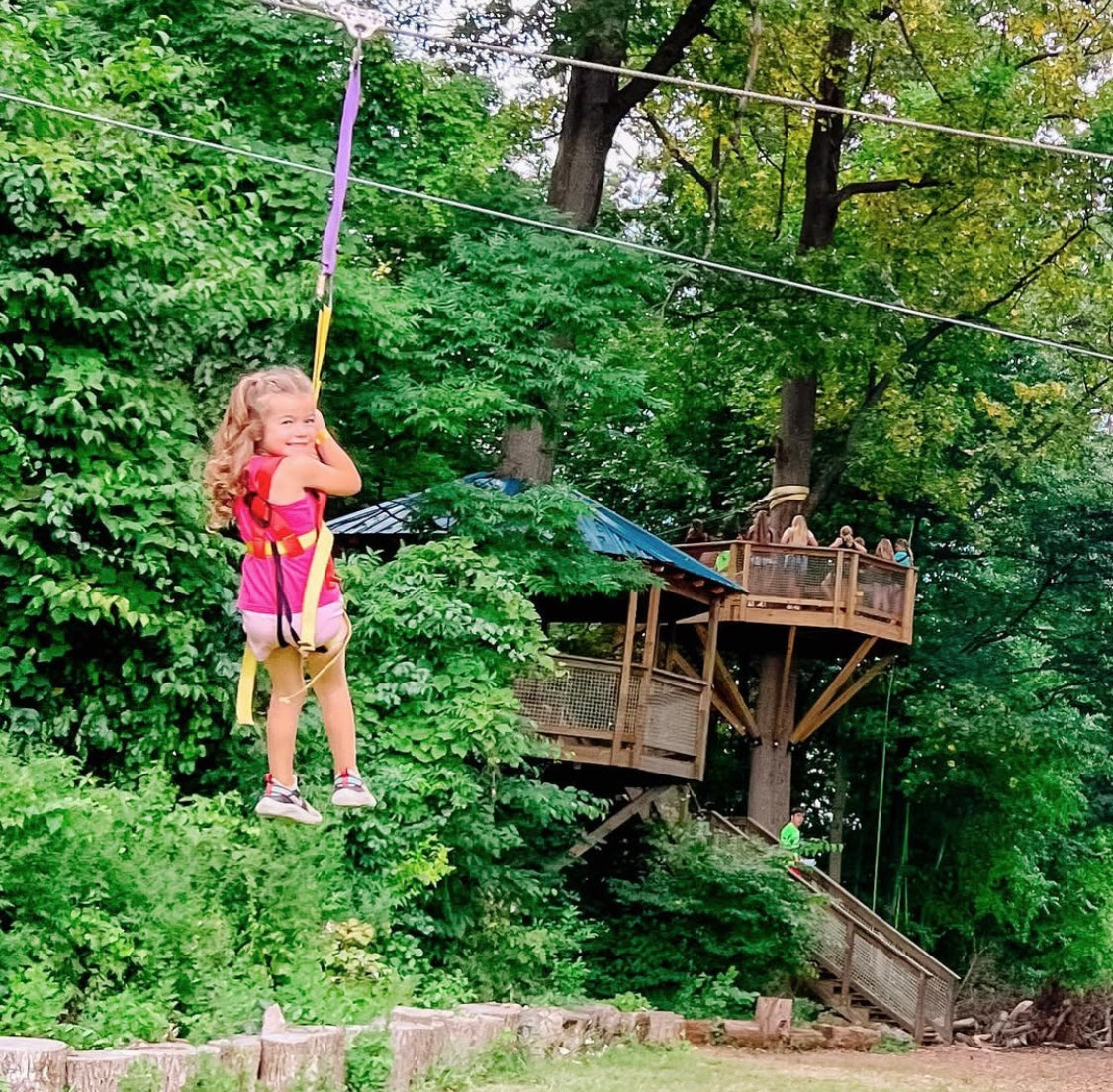 Treehouse World Adventure Park