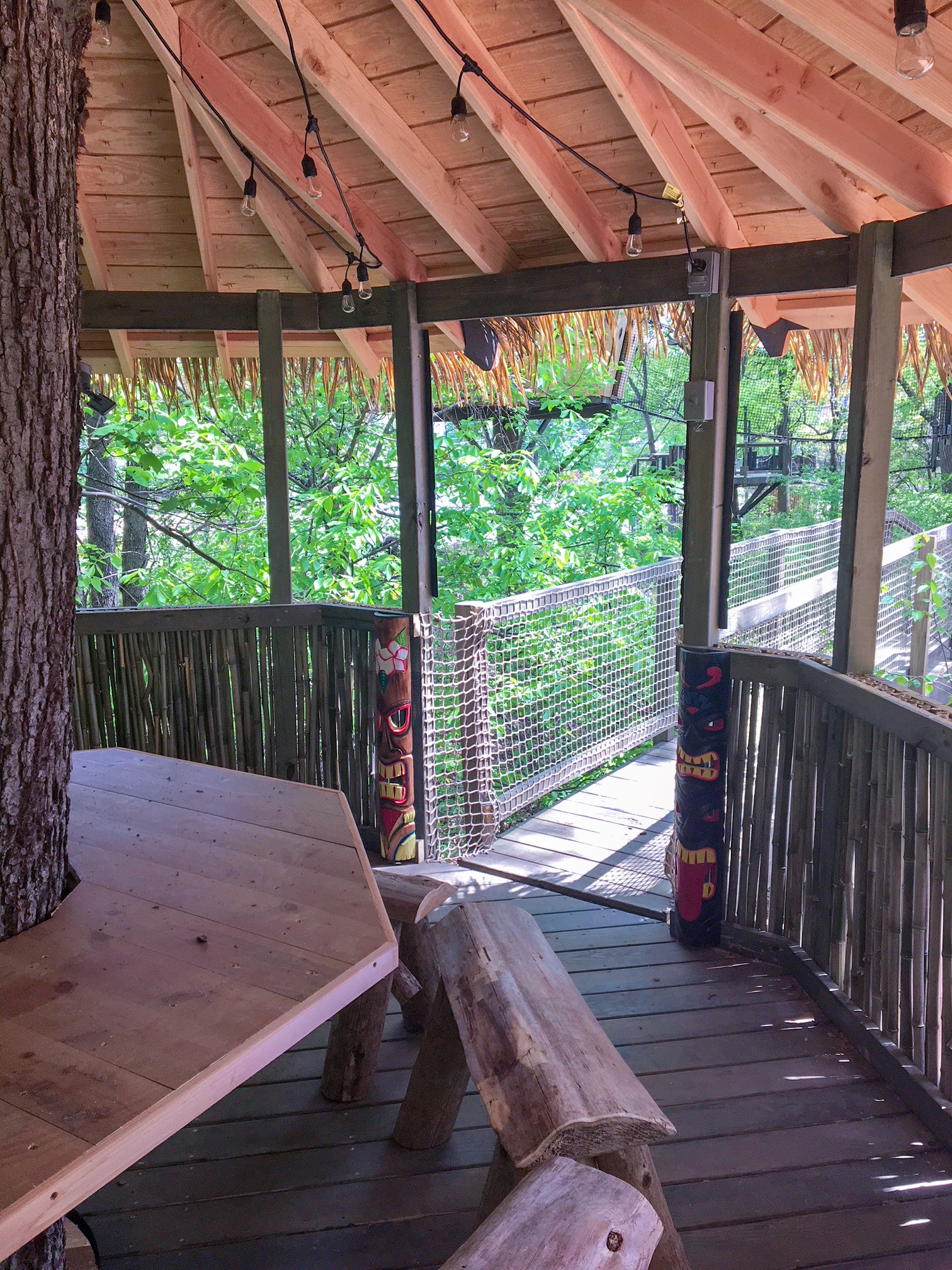 Treehouse World Adventure Park