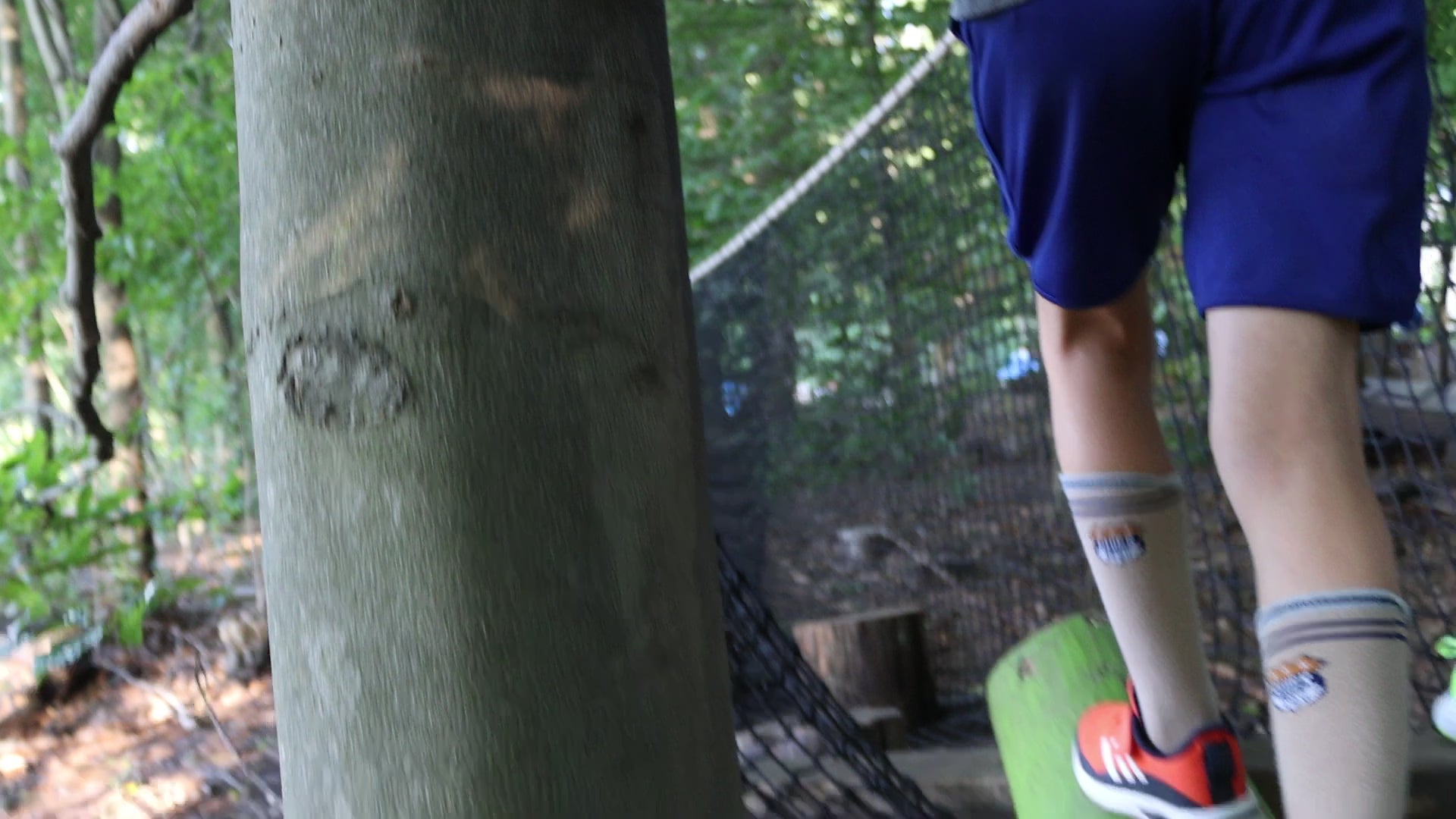 Treehouse World Adventure Park