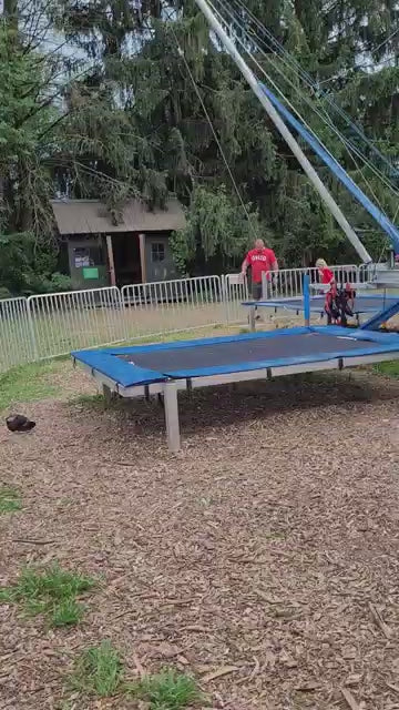 Treehouse World Adventure Park