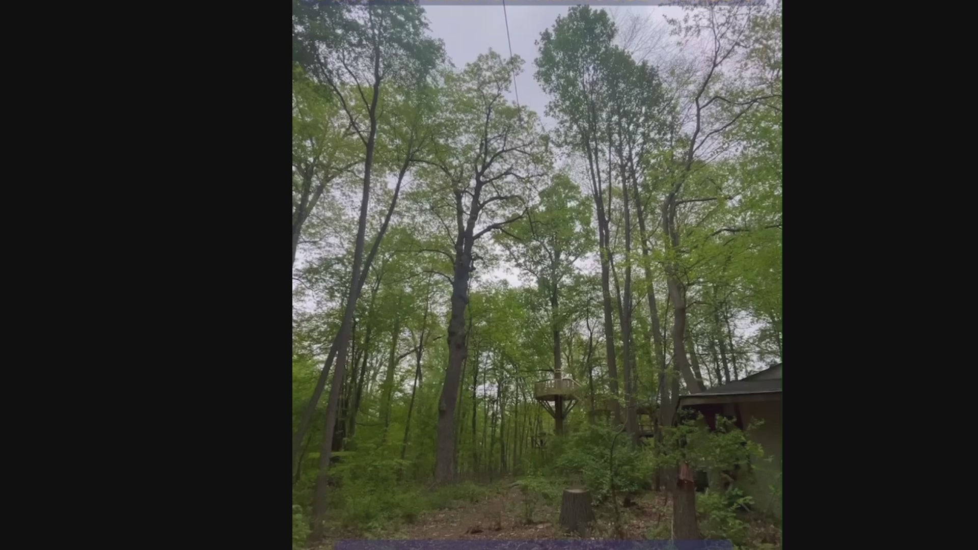 Treehouse World Adventure Park