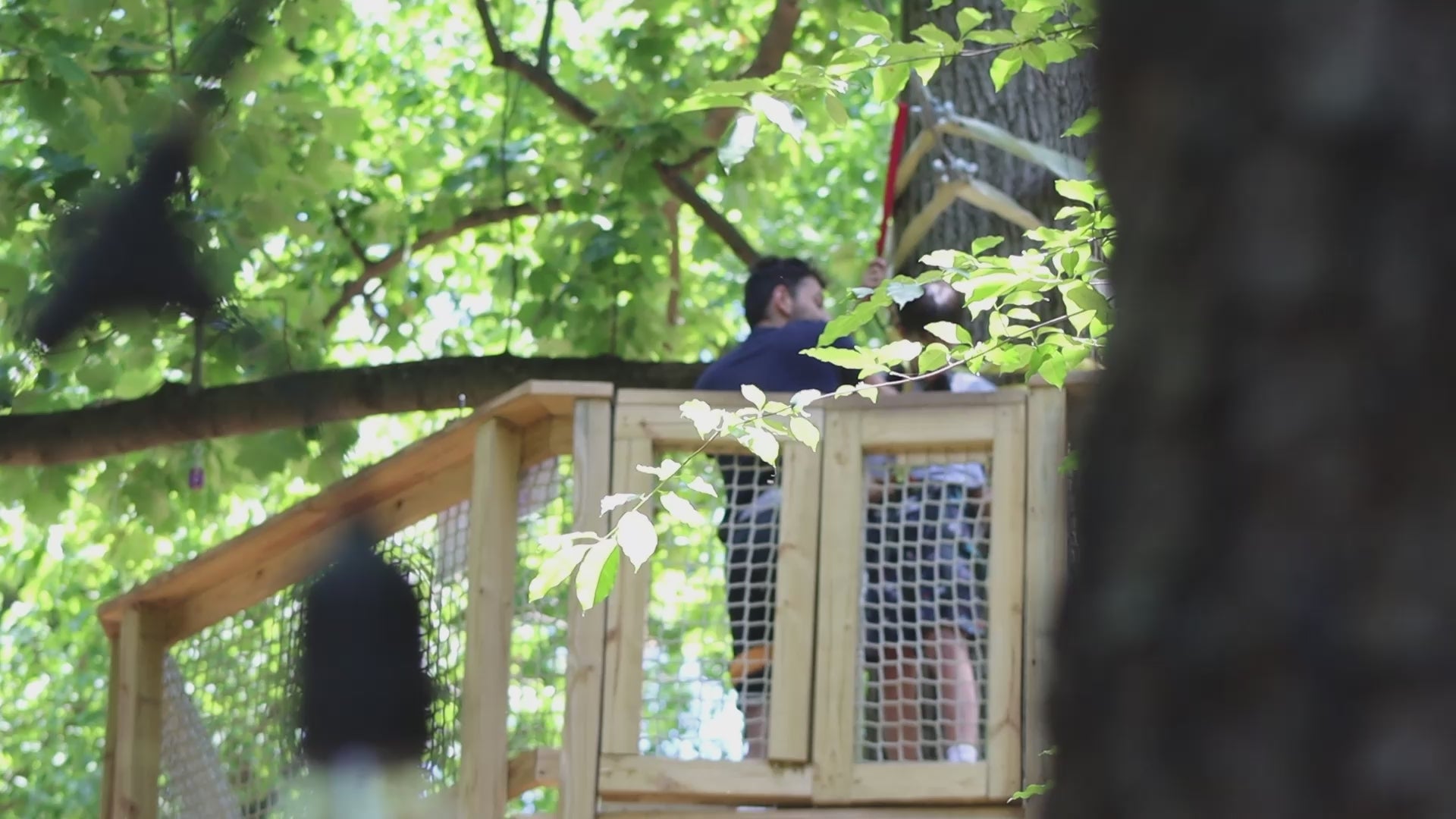 Treehouse World Adventure Park