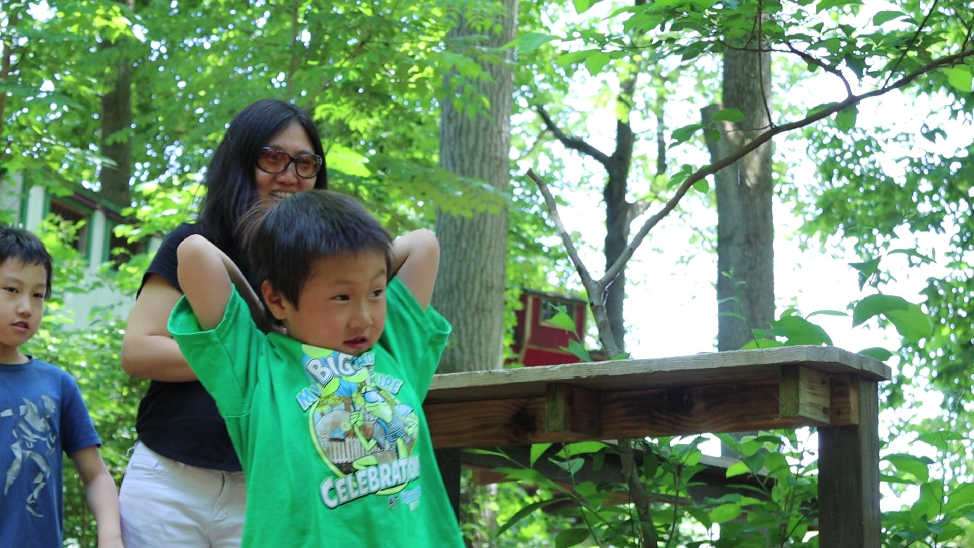 Treehouse World Adventure Park