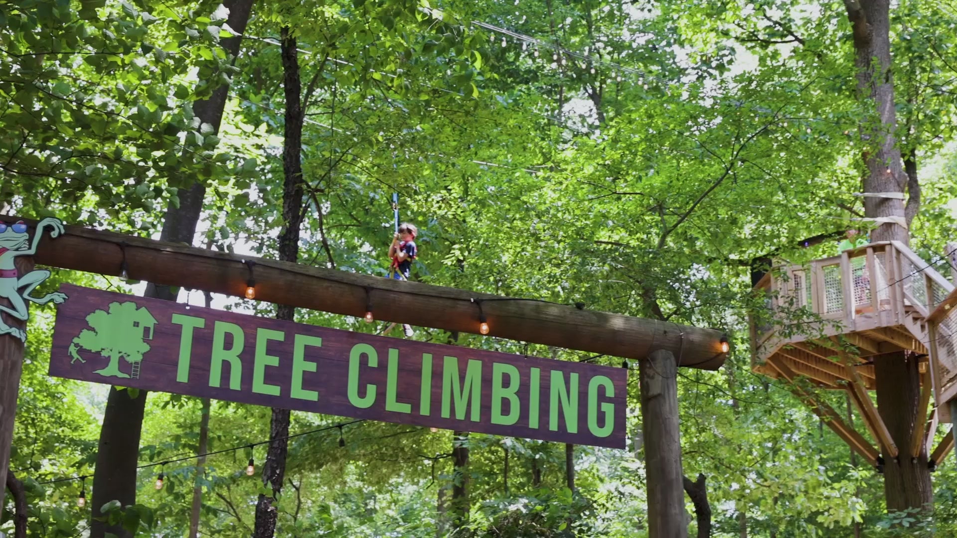 Treehouse World Adventure Park