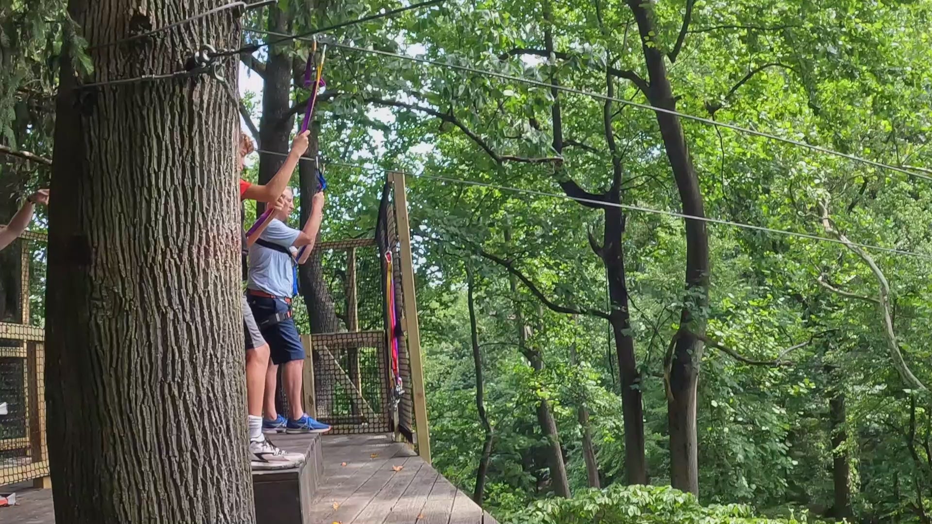 Treehouse World Adventure Park