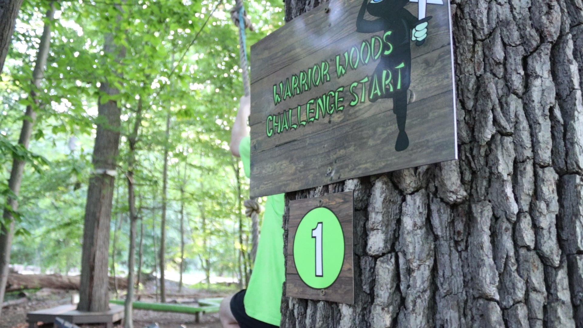 Treehouse World Adventure Park