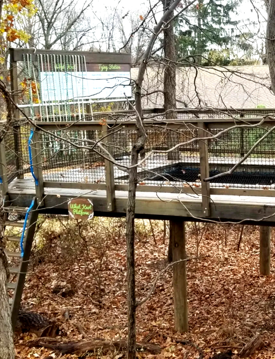 Treehouse World Adventure Park
