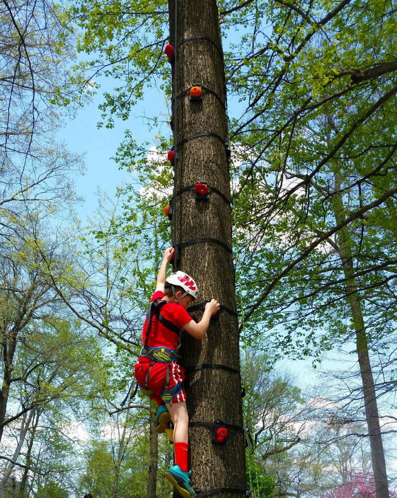 Treehouse Parties